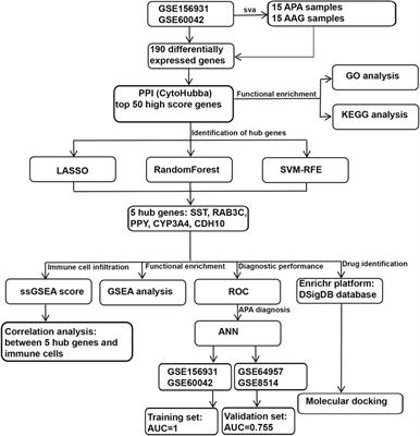 Developing the novel diagnostic model and potential drugs by integrating bioinformatics and machine learning for aldosterone-producing adenomas